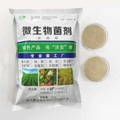 米曲霉菌粉在飼料蛋白分解及生物發(fā)酵中的應(yīng)用研究